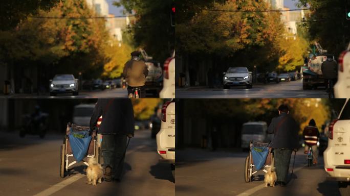 老年生活秋天出行马路街道