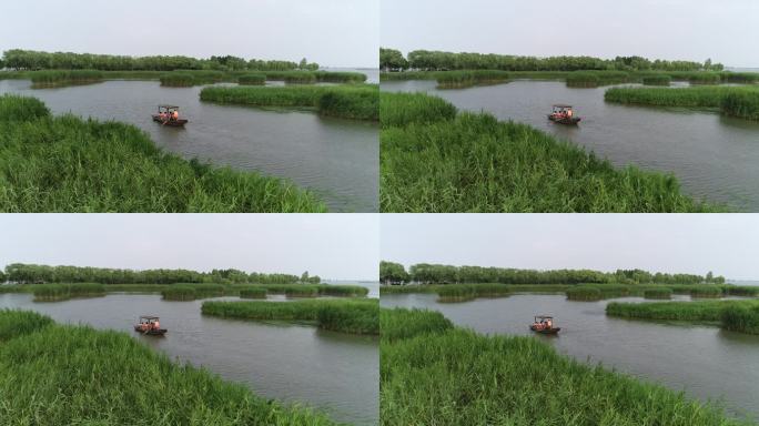 盐城大纵湖芦荡迷宫