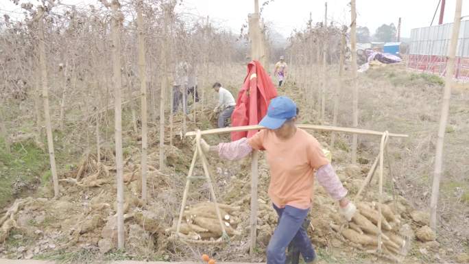 葛根基地视频素材包