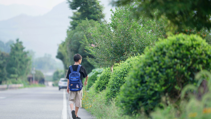 农村孩子放学路上