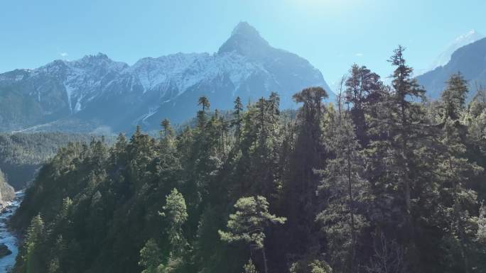 帕隆藏布，从河面上升，跨过树梢到雪山