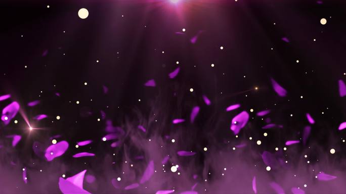 紫色花瓣飘动 粒子上升烟雾氛围