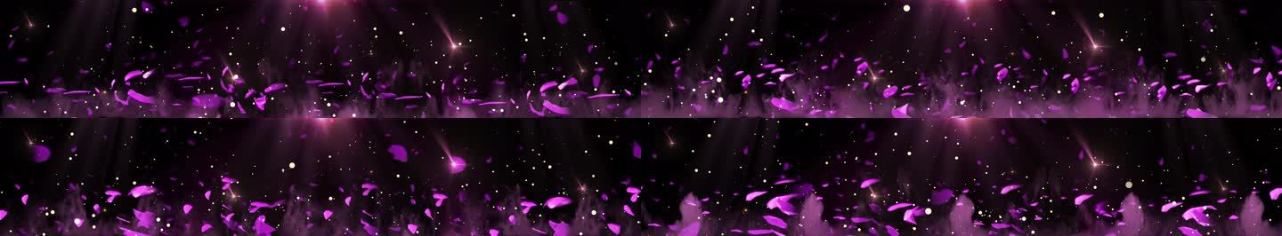紫色花瓣飘动 粒子上升烟雾氛围