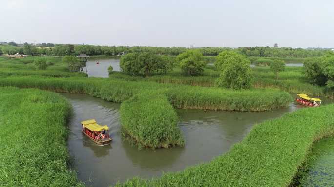 盐城大纵湖芦荡迷宫