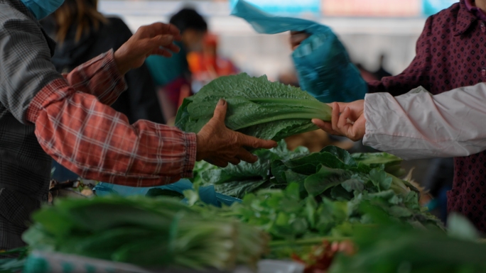 菜市场赶集买菜卖鱼卖肉