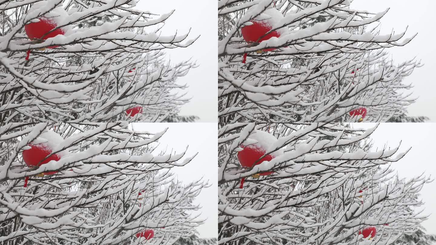 下雪 大雪 福 灯笼 幸福 雪压树枝