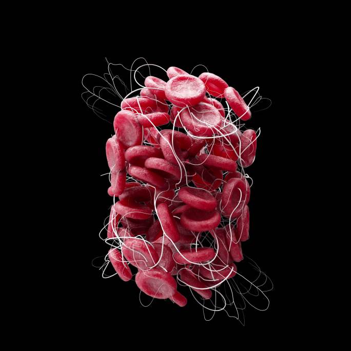 红细胞血红蛋白循环展示