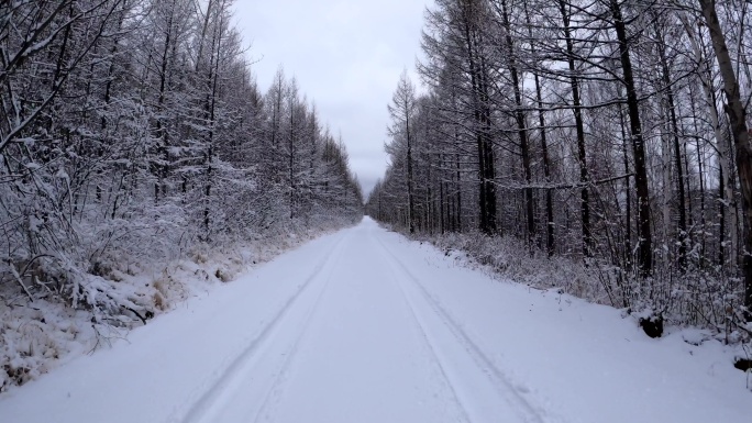 5K行驶在林海雪原的雪路上