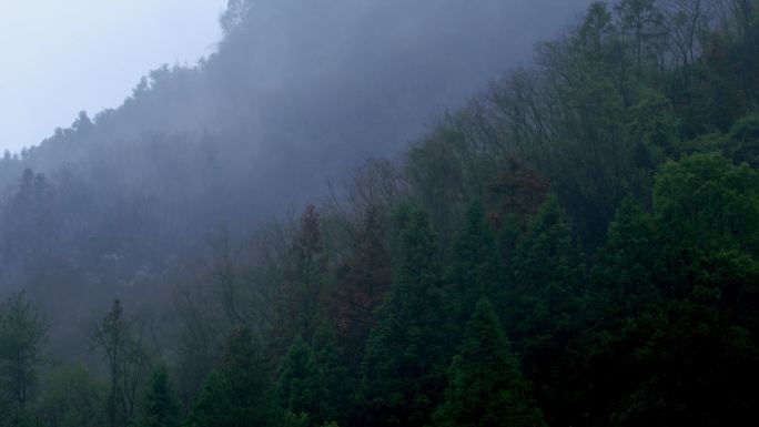 青山绿树白雾缭绕仙气中国风意境唯美大自然