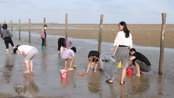 挖蛤喇挖海蛎子挖海鲜