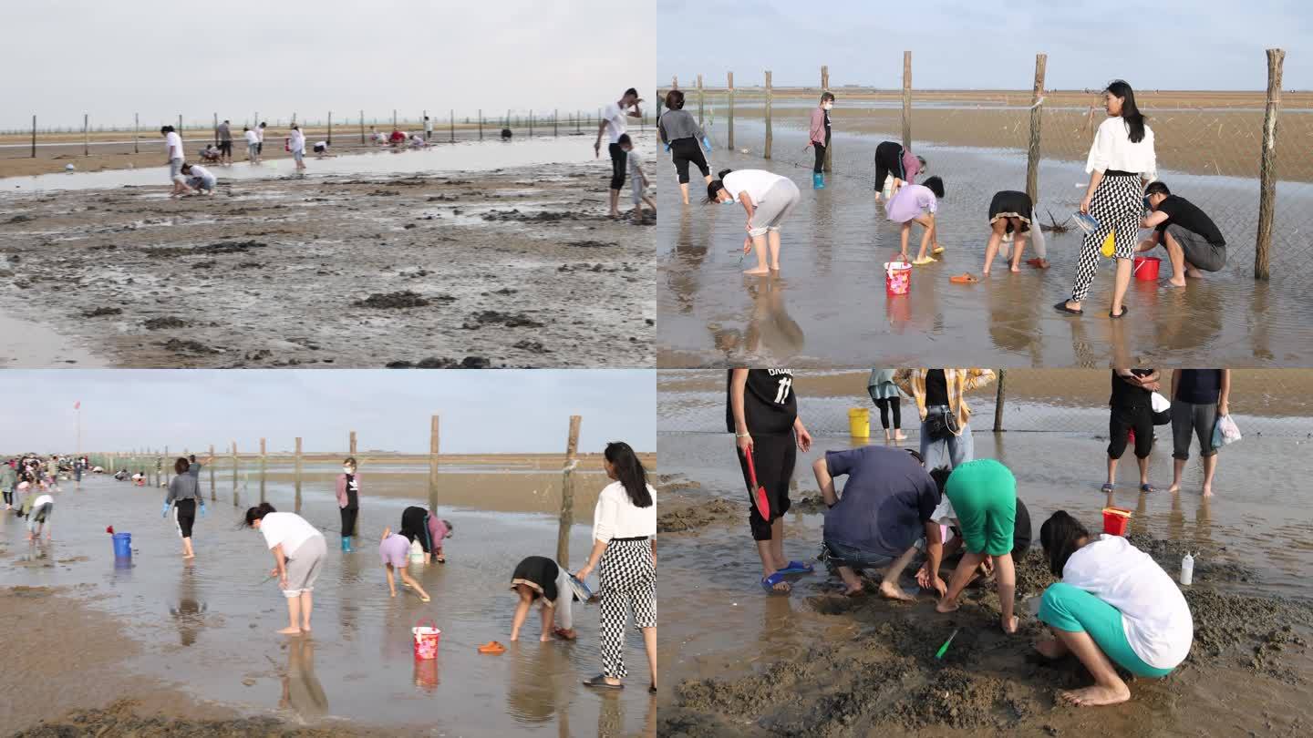 挖蛤喇挖海蛎子挖海鲜