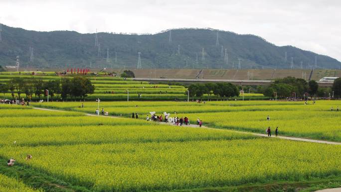 光明小镇欢乐田园