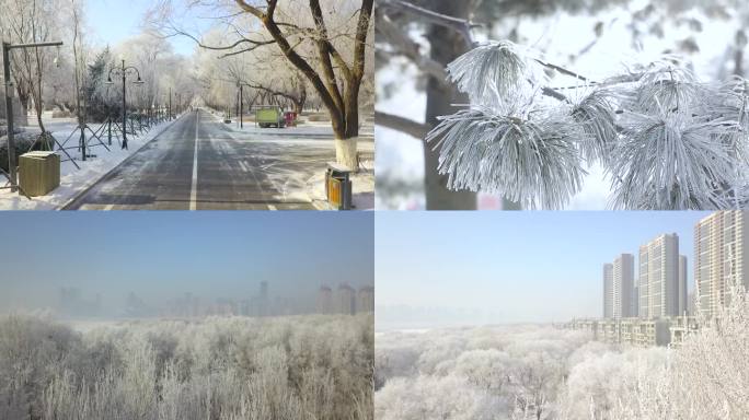 雾凇沈阳城市美景