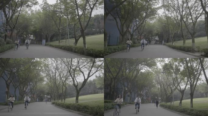 【4K灰度】大学情侣骑单车绿色出行