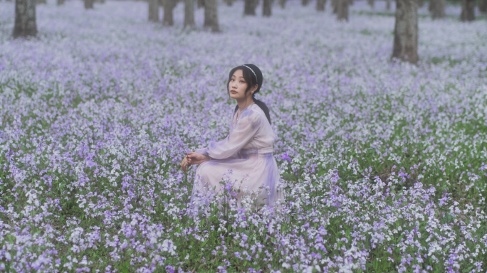 春天二月兰花海中女孩骑单车在花丛中嬉戏