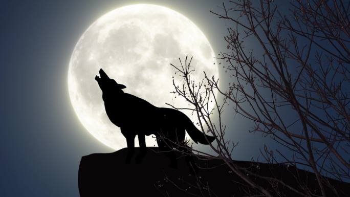 山崖上的狼与月亮