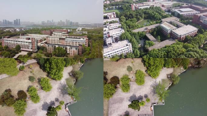 武汉 校园 大学 武汉城市学院 东湖