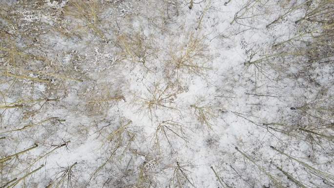 2.7K高清航拍雪景雪树视频7