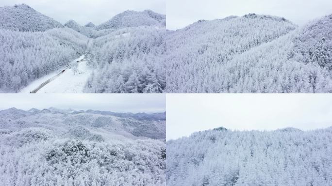 森林冬天雪景雾凇