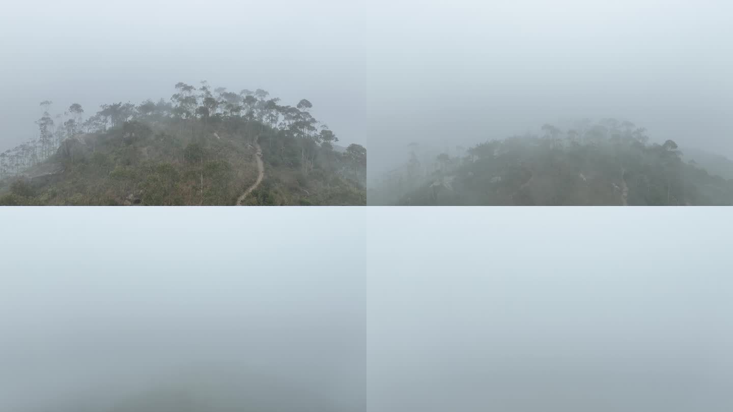 山上云雾飘飘雾气树林云雾缭绕