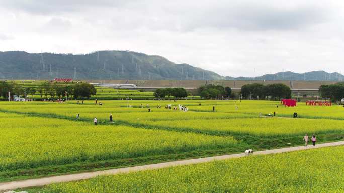 光明小镇欢乐田园