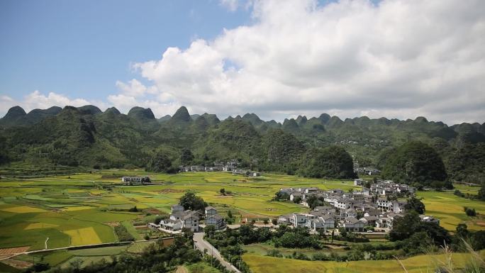 大气的黔西南州万峰林水稻夏天时节延时视频