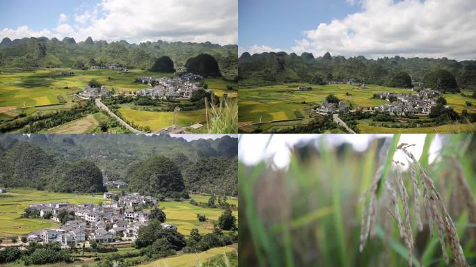 大气的黔西南州万峰林水稻夏天时节延时视频