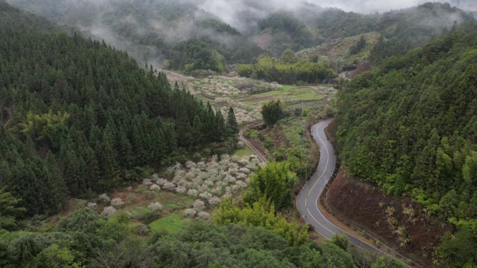 山林间云海延时