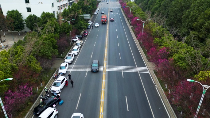 苍溪交通道路车流