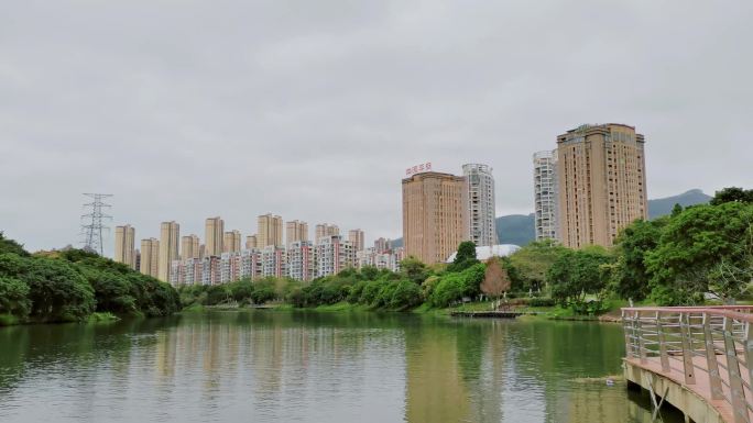 公园 桥上 溪水  河流 阴天的城市