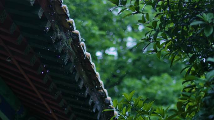 实拍古建筑飞燕吊脚下雨天特写升格镜头一组