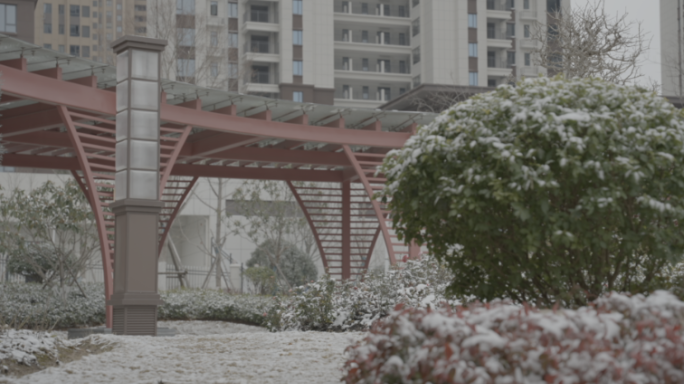 公园 空镜 雪景 荆门读书台广场