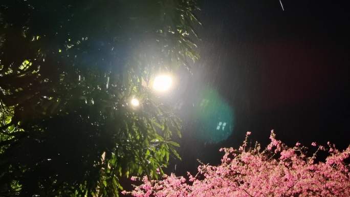 雨丝下雨 雨中雨丝 夜晚雨滴 水滴 雨天