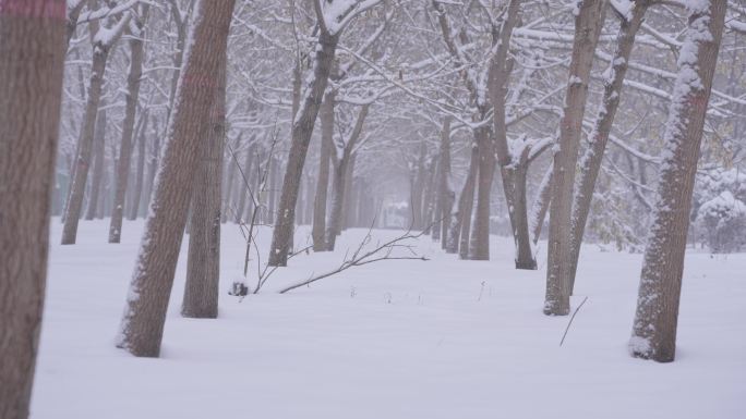 冬天下雪人行道空镜