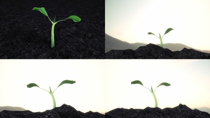 种子生长发芽破土而出三维动画视频素材