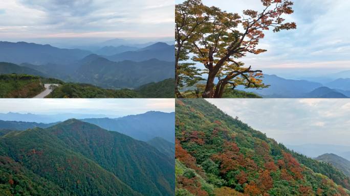 意境远山秋天红叶