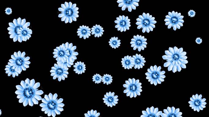 花朵飞舞蓝色