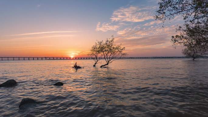 深圳西湾红树林日落延时美景