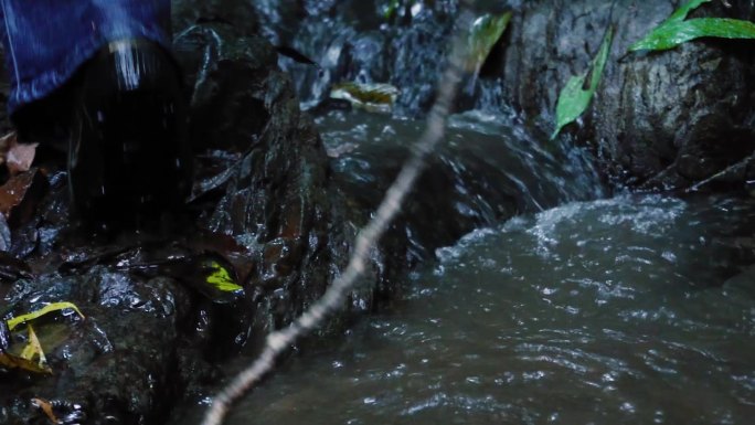 丛林探险涉水的脚步