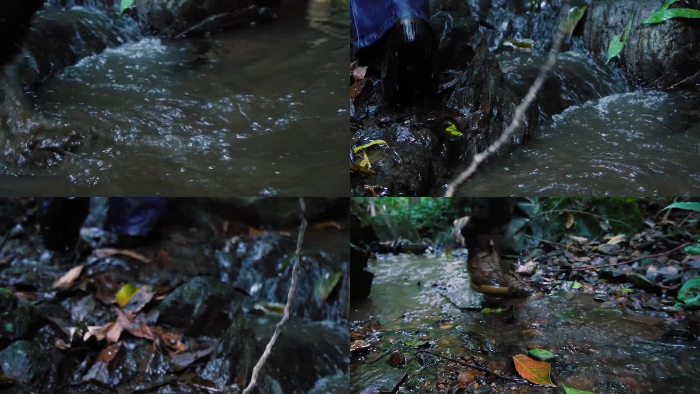 丛林探险涉水的脚步