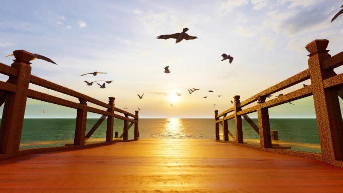 夕阳西下海面长廊码头海鸥群自由飞舞