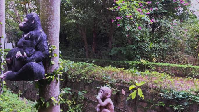 4K高清实拍在树林中穿行偶遇到一只大猩猩