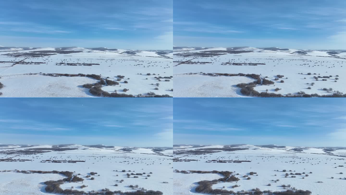 航拍湿地雪原风景视频素材