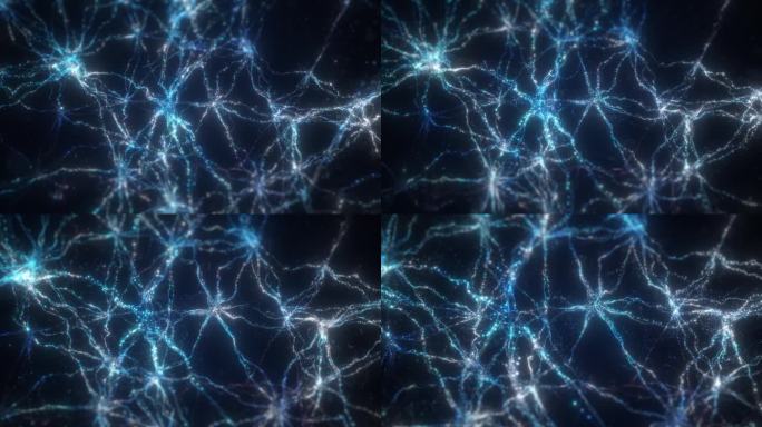 粒子神经元网络脑神经
