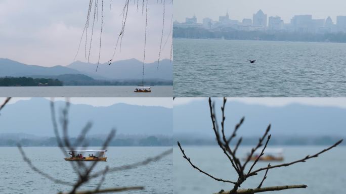 杭州的西湖美景和游船