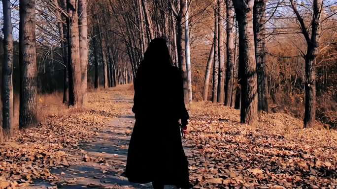 美女行走在落叶的林间小道