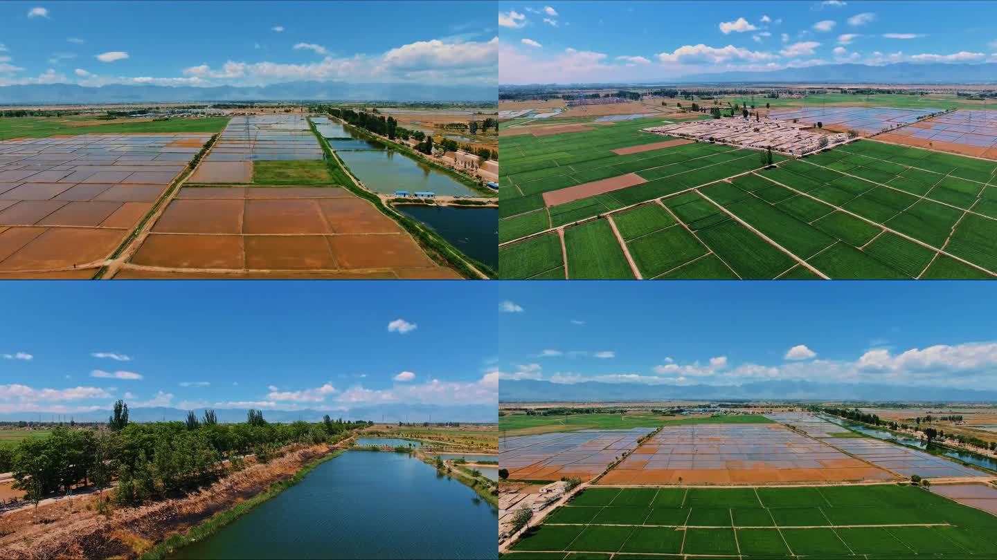 10段素材：航拍宁夏平原春季引黄灌溉