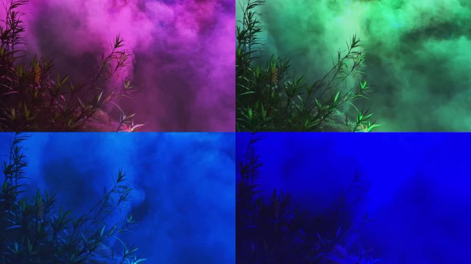 4K高清实拍七彩变色灯照着雾气朦胧的小草