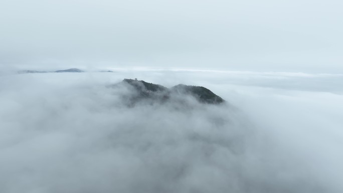 森林云海航拍山峰云雾缭绕雨后山林山脉风景