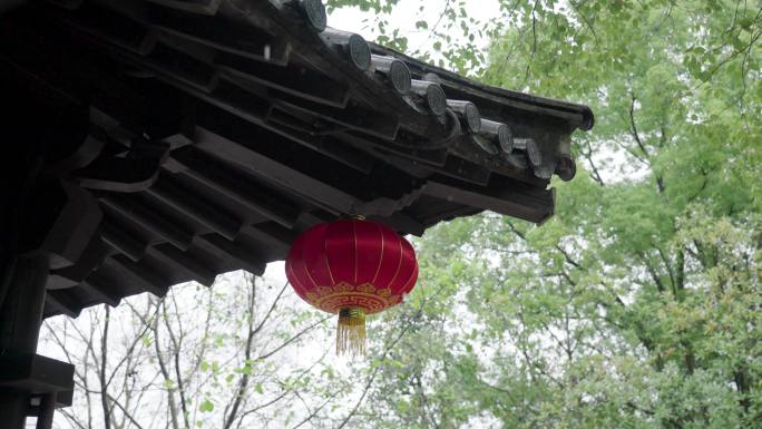 4K雨夹雪河湖边水面雾气嘉兴放鹤洲1